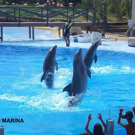 Estudio Jupiter Cerca Playa